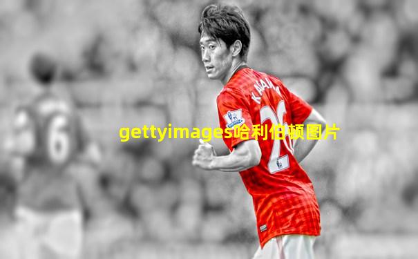 gettyimages哈利伯顿图片