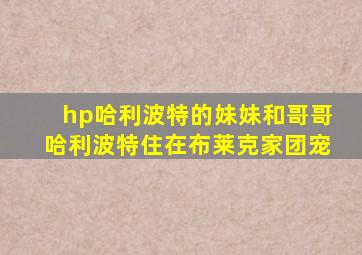 hp哈利波特的妹妹和哥哥哈利波特住在布莱克家团宠