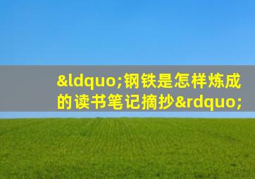 “钢铁是怎样炼成的读书笔记摘抄”
