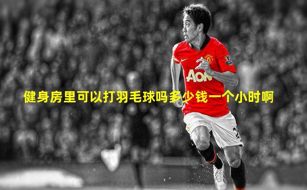 健身房里可以打羽毛球吗多少钱一个小时啊