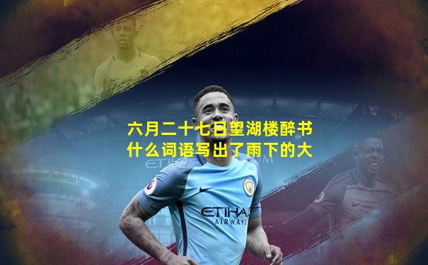 六月二十七日望湖楼醉书什么词语写出了雨下的大