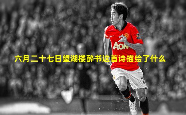 六月二十七日望湖楼醉书这首诗描绘了什么