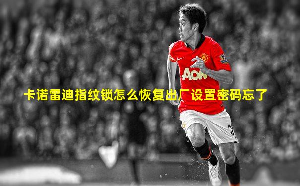 卡诺雷迪指纹锁怎么恢复出厂设置密码忘了