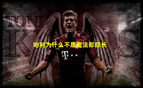 哈利为什么不是魔法部部长