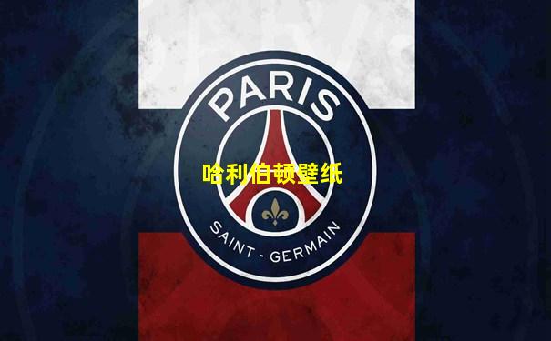 哈利伯顿壁纸