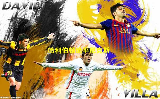 哈利伯顿绝平尼克斯