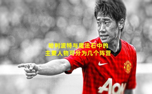 哈利波特与魔法石中的主要人物可分为几个阵营
