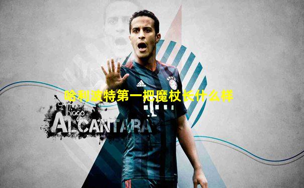 哈利波特第一把魔杖长什么样