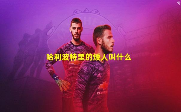 哈利波特里的矮人叫什么