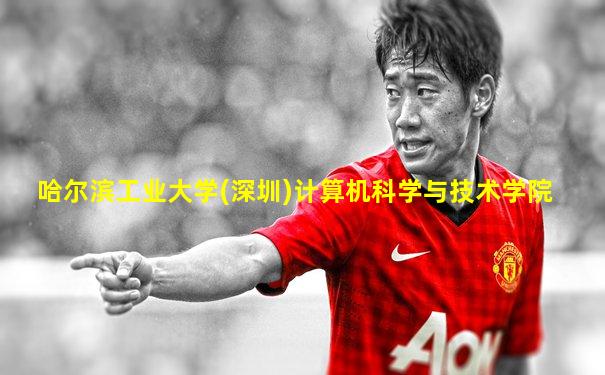 哈尔滨工业大学(深圳)计算机科学与技术学院