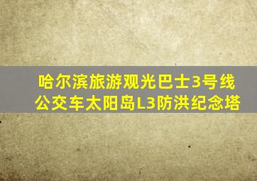 哈尔滨旅游观光巴士3号线公交车太阳岛L3防洪纪念塔