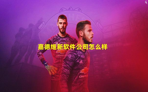 嘉德维新软件公司怎么样