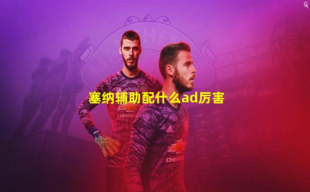 塞纳辅助配什么ad厉害