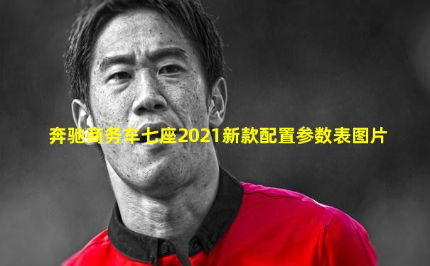 奔驰商务车七座2021新款配置参数表图片