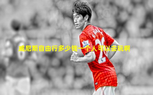 威尼斯自由行多少钱一个人可以去玩啊