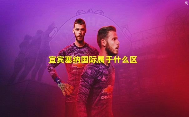 宜宾塞纳国际属于什么区