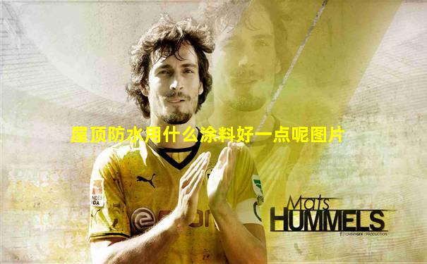 屋顶防水用什么涂料好一点呢图片