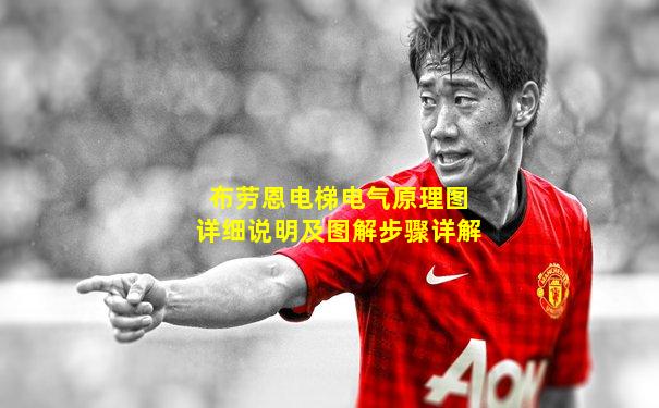 布劳恩电梯电气原理图详细说明及图解步骤详解