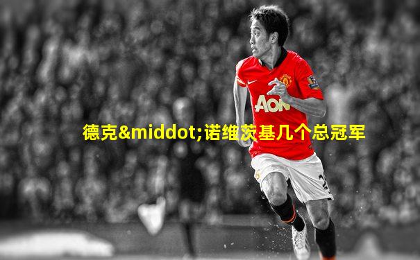 德克·诺维茨基几个总冠军