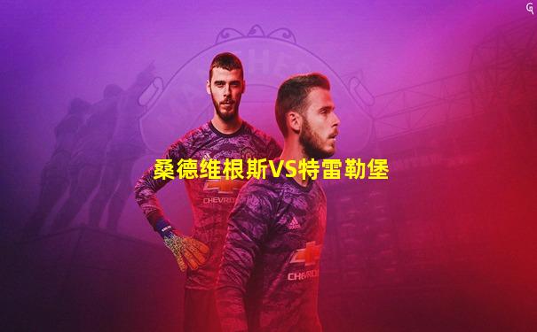 桑德维根斯VS特雷勒堡