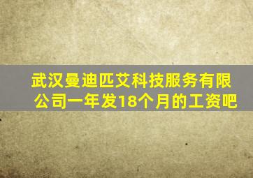 武汉曼迪匹艾科技服务有限公司一年发18个月的工资吧