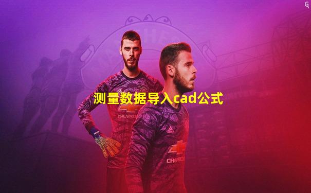 测量数据导入cad公式