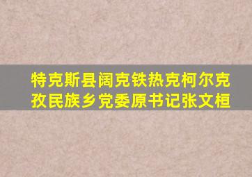 特克斯县阔克铁热克柯尔克孜民族乡党委原书记张文桓