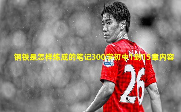 钢铁是怎样炼成的笔记300字初中1到15章内容