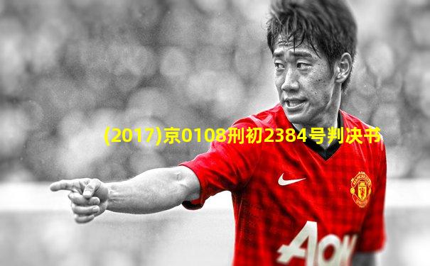 (2017)京0108刑初2384号判决书