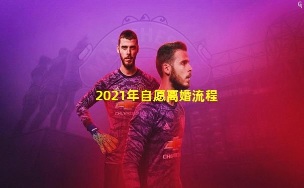 2021年自愿离婚流程