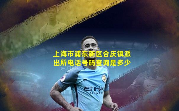 上海市浦东新区合庆镇派出所电话号码查询是多少