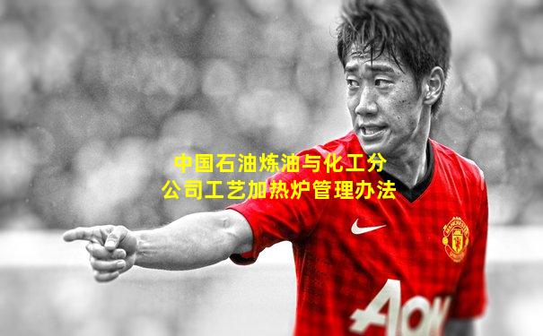 中国石油炼油与化工分公司工艺加热炉管理办法