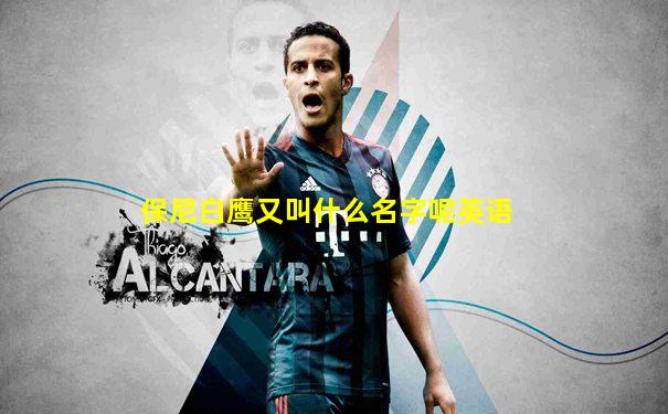 保尼白鹰又叫什么名字呢英语