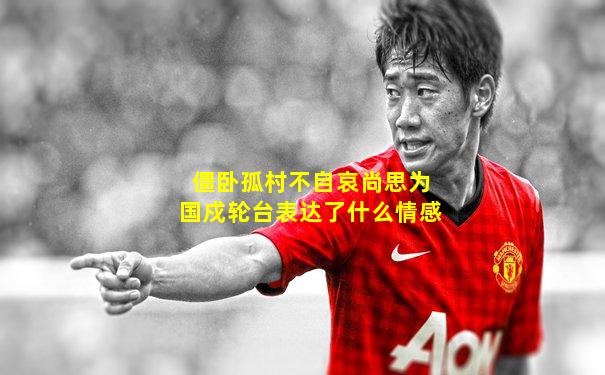 僵卧孤村不自哀尚思为国戍轮台表达了什么情感