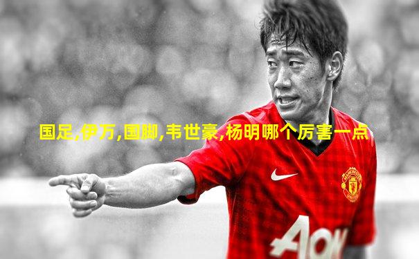 国足,伊万,国脚,韦世豪,杨明哪个厉害一点