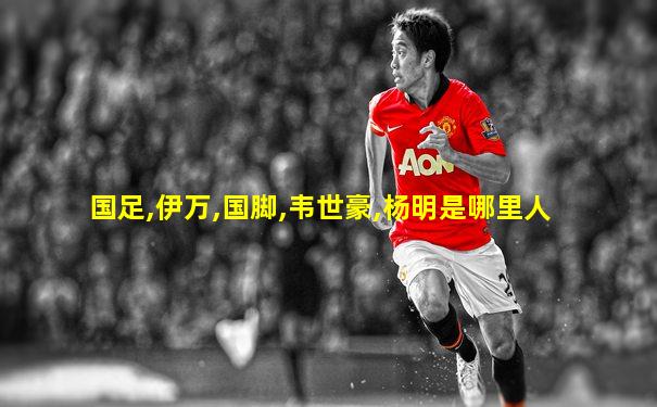 国足,伊万,国脚,韦世豪,杨明是哪里人
