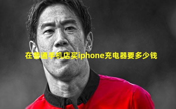 在普通手机店买iphone充电器要多少钱