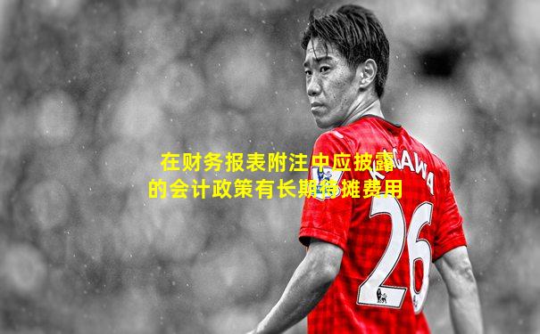 在财务报表附注中应披露的会计政策有长期待摊费用