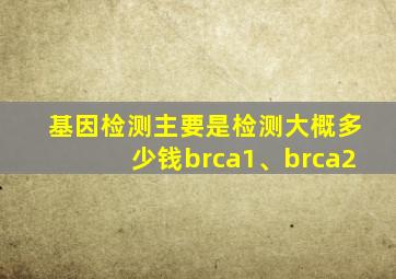 基因检测主要是检测大概多少钱brca1、brca2