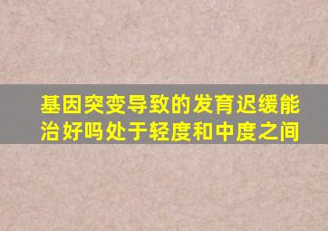 基因突变导致的发育迟缓能治好吗处于轻度和中度之间