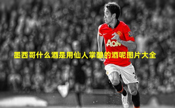 墨西哥什么酒是用仙人掌酿的酒呢图片大全