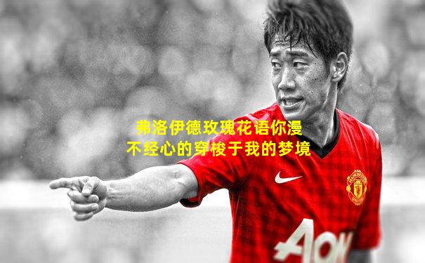 弗洛伊德玫瑰花语你漫不经心的穿梭于我的梦境
