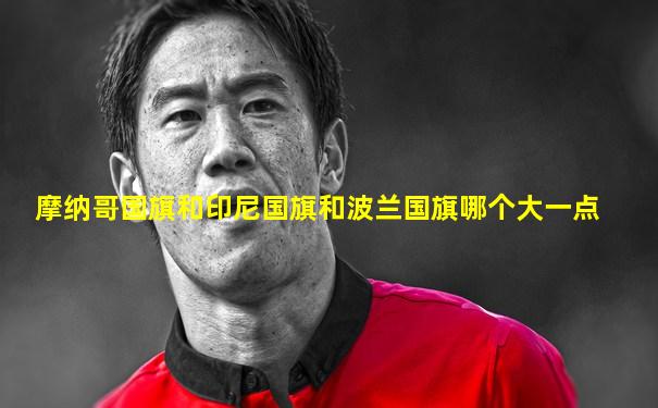 摩纳哥国旗和印尼国旗和波兰国旗哪个大一点