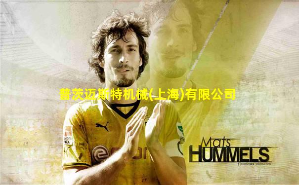 普茨迈斯特机械(上海)有限公司