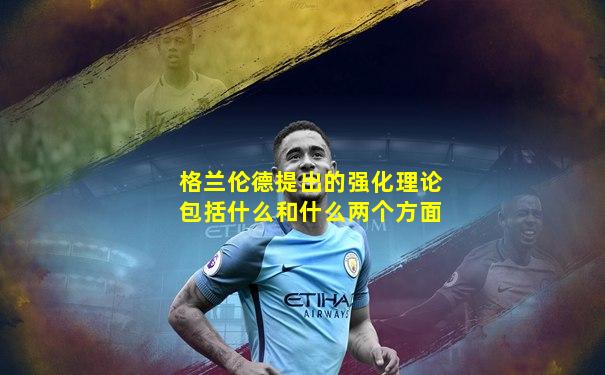格兰伦德提出的强化理论包括什么和什么两个方面