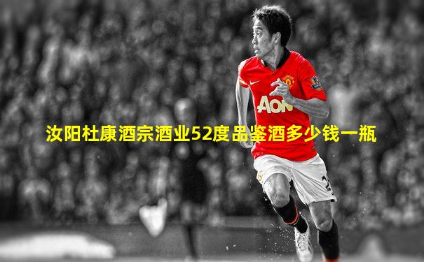 汝阳杜康酒宗酒业52度品鉴酒多少钱一瓶