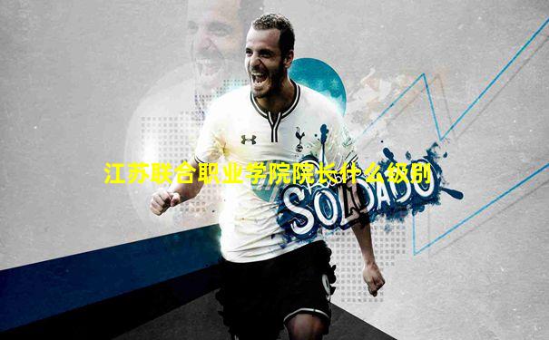 江苏联合职业学院院长什么级别