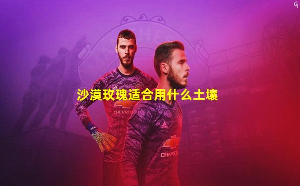 沙漠玫瑰适合用什么土壤