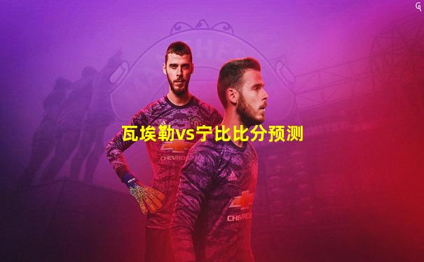 瓦埃勒vs宁比比分预测