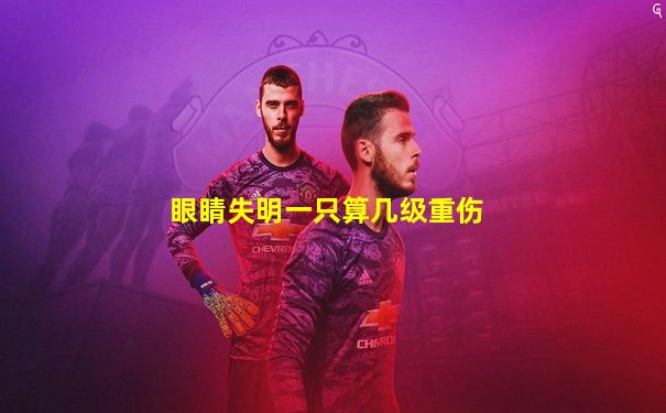 眼睛失明一只算几级重伤
